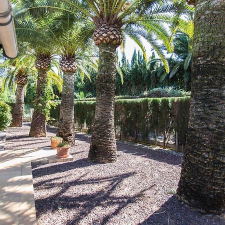 Finca Pepe 2 Otel Denia Dış mekan fotoğraf